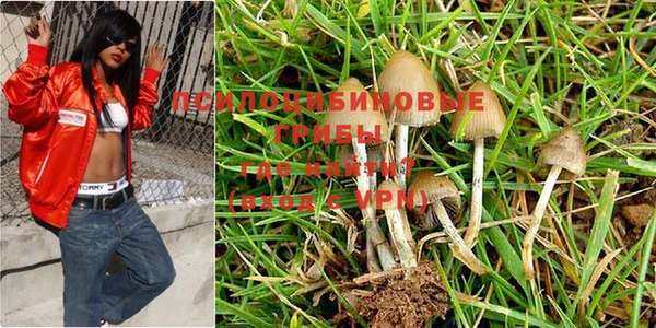 apvp Новозыбков