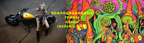 ГАЛЛЮЦИНОГЕННЫЕ ГРИБЫ Нефтекумск