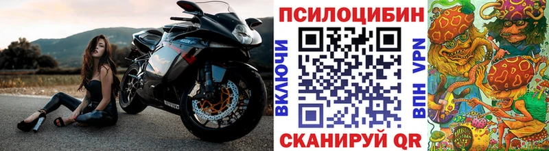 продажа наркотиков  Кола  Галлюциногенные грибы мицелий 